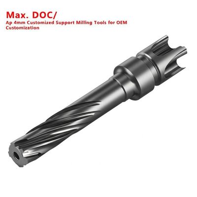 Max. DOC/ Ap 4mm Customized Support Milling Tools for OEM Customization